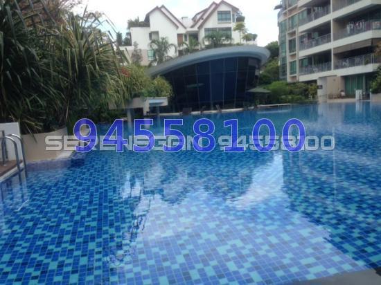 ClementiWoods Condominium (D5), Condominium #72539611
